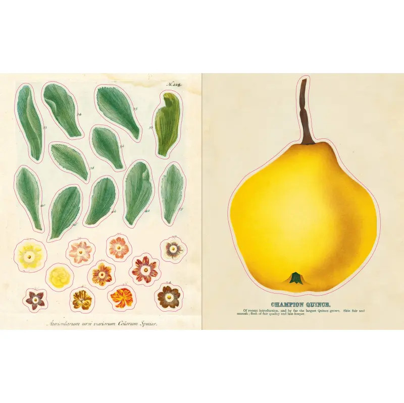 ジョンデリアンステッカーブック * JOHN DERIAN】ステッカーブック Sticker Book – FEELSEEN