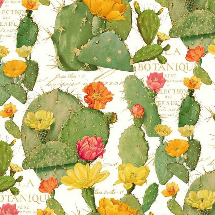 Kartos Paper, Flowering Cactus - FLAX art & design