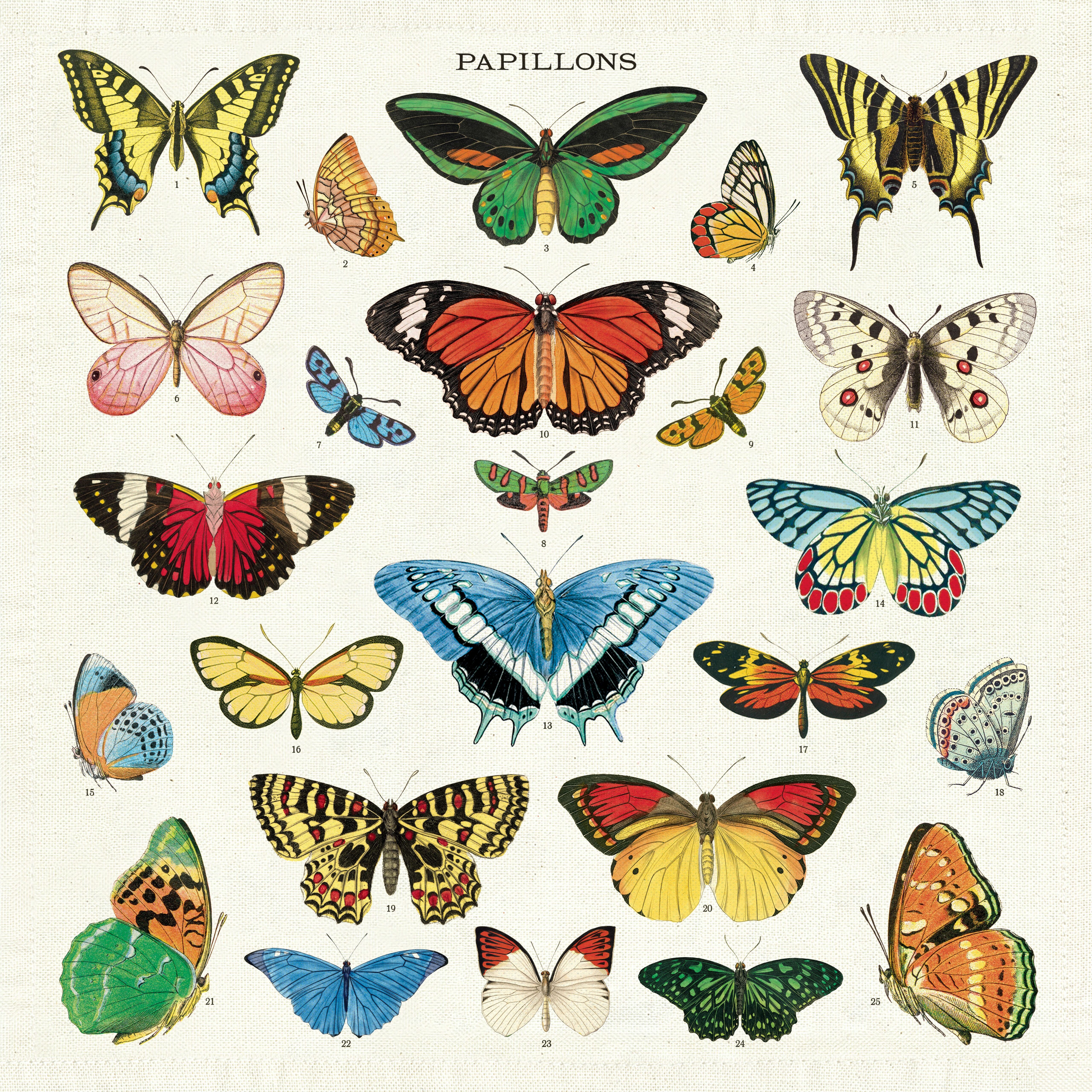 Cavallini Papers & Co. Botanica Napkin