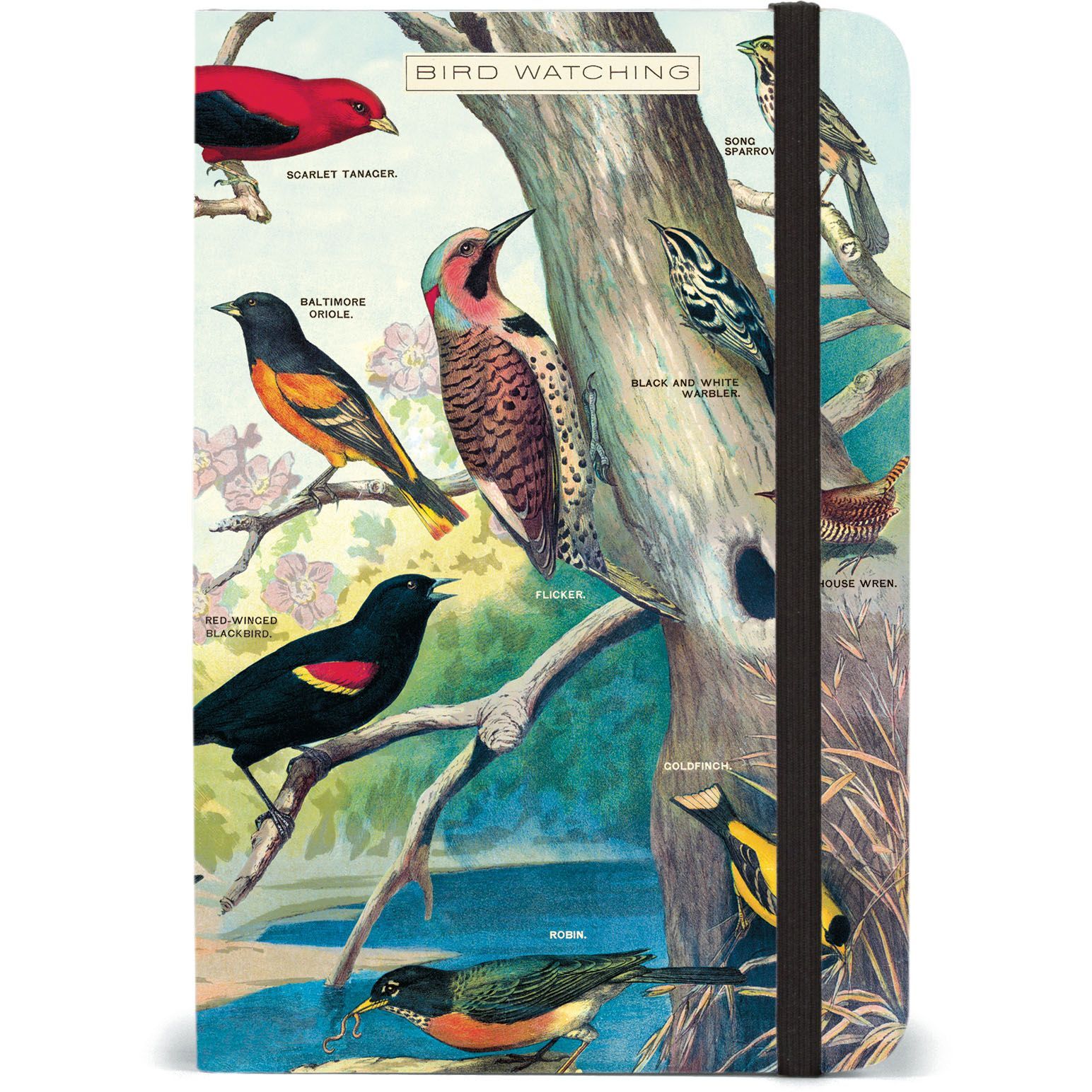 KOKIA Bird Watching 20thノート+記念はがき付き Bird Watching Notebook, 4