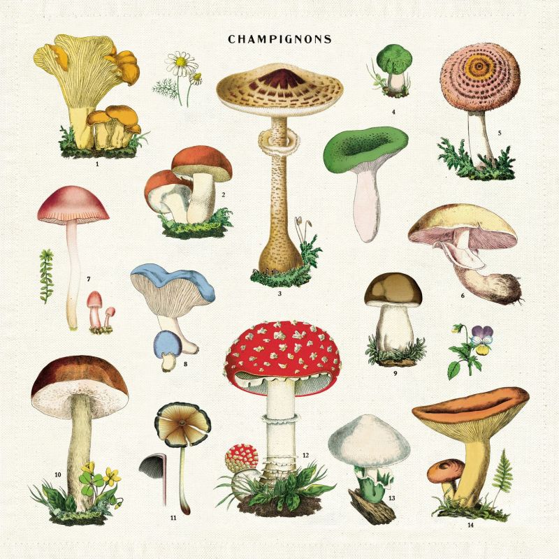 Mushrooms Vintage Napkin Set