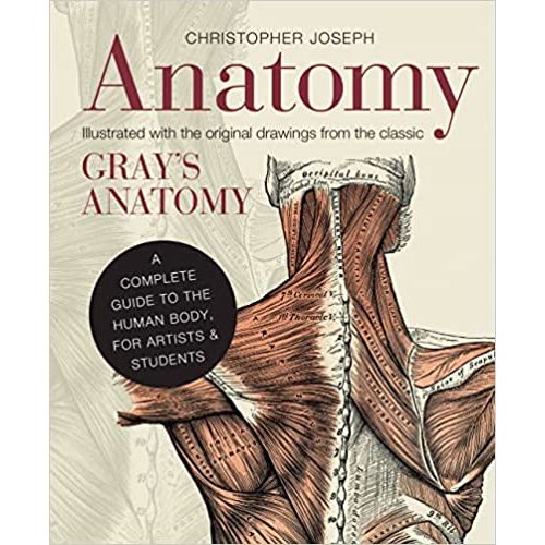 Anatomy: A Complete Guide to the Human Body - FLAX art & design