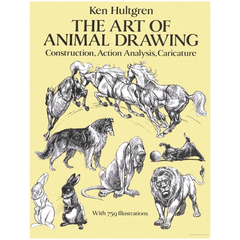 How To Draw Animals of The World - FLAX art & design