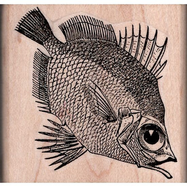 Draw a Fish: Pen and Ink Drawing with Digital Painting