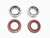 1997-2010 Ford F150 9.75" Axle Bearing & Seal Kit