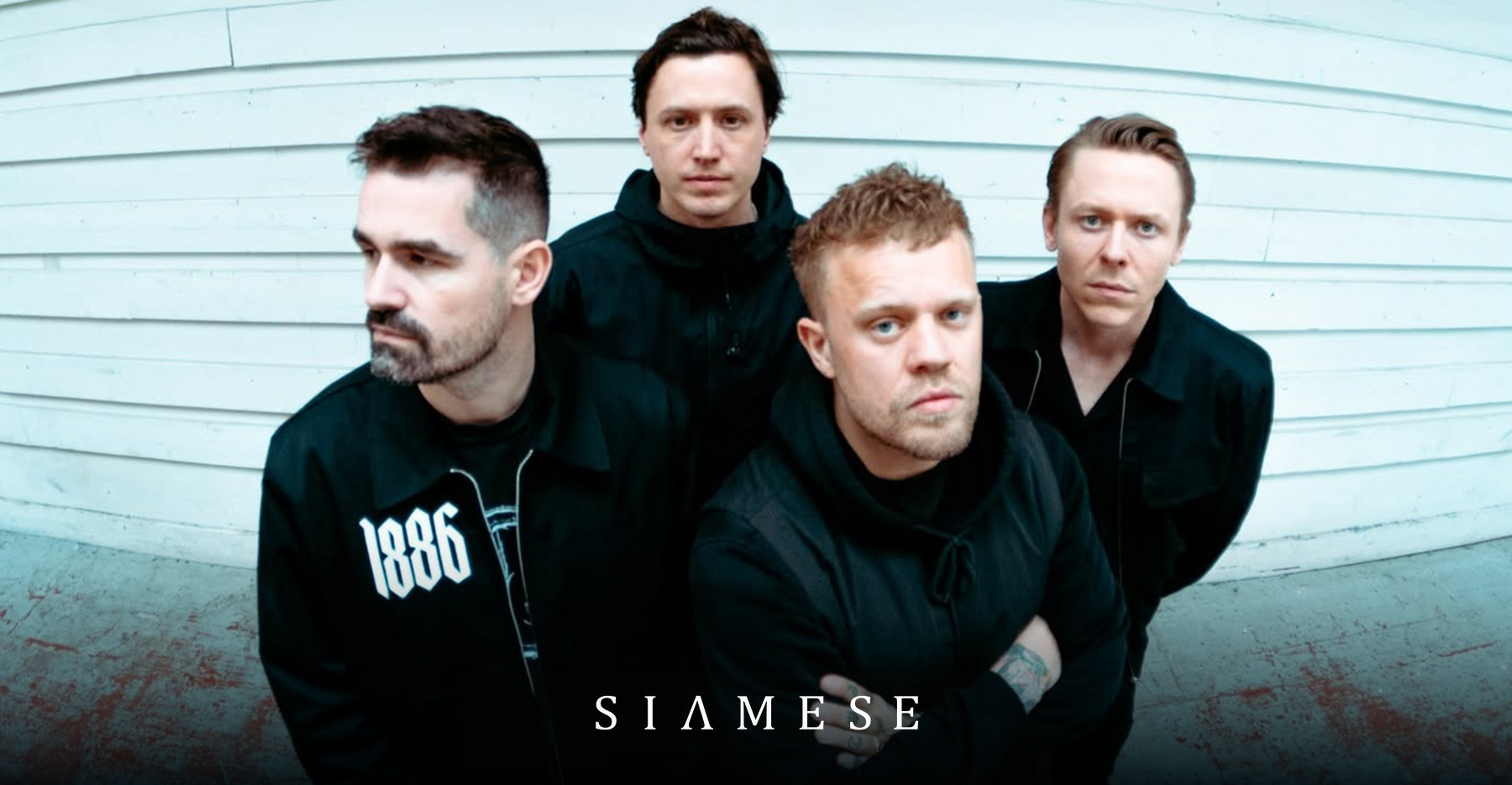 siamese-header-3.jpg