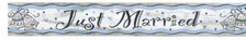 BANNER  JUST MARRIED
