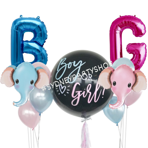 Blue/Pink Elephant Head Gender Reveal 