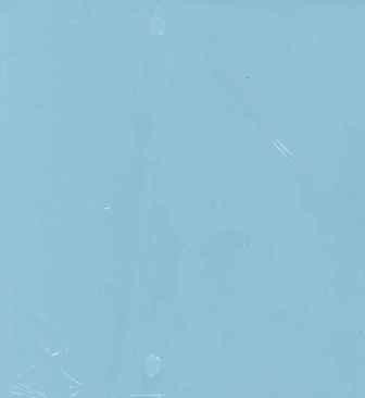 NAPKIN DINNER 2 PLY  LT. BLUE P50