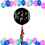 Gender reveal tassel balloon set