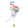 Chic Balloon bouquet set in Pastel Rainbow 