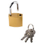 Padlock 25mm