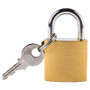 Padlock Keyed Alike 30mm