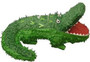 Pinata Alligator