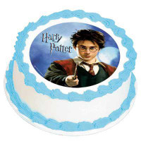 HARRY POTTER EDIBLE ICING IMAGE