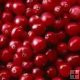 FROZEN FRUIT CRANBERRIES 1 KG