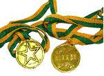 GOLD WINNER MEDALS 100