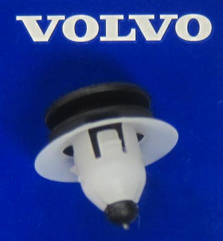 掛軸 306 掛軸 306 数量限定】Z/X -Zillions of enemy X- 掛軸「イース＆スイ