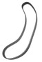 2003-2005 Volvo XC90 T6 Timing Belt [OEM]