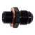 JBtuned Honda D & B-Series Fuel Rail and Filter 6AN Adapter