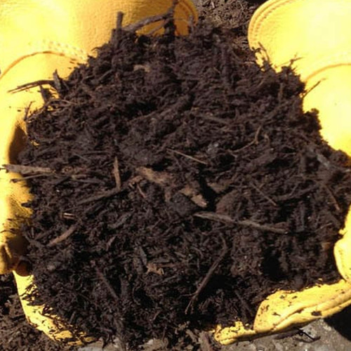 Forest Brown Mulch