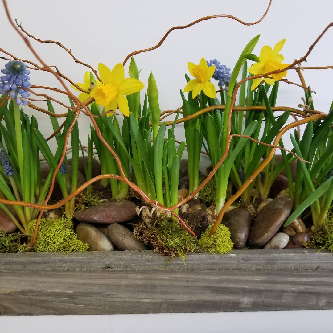 Ottawa Florist Mill Street Florist Send Flowers in Ottawa