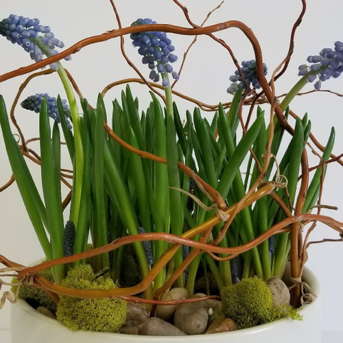 Modern Spring Planter No.2