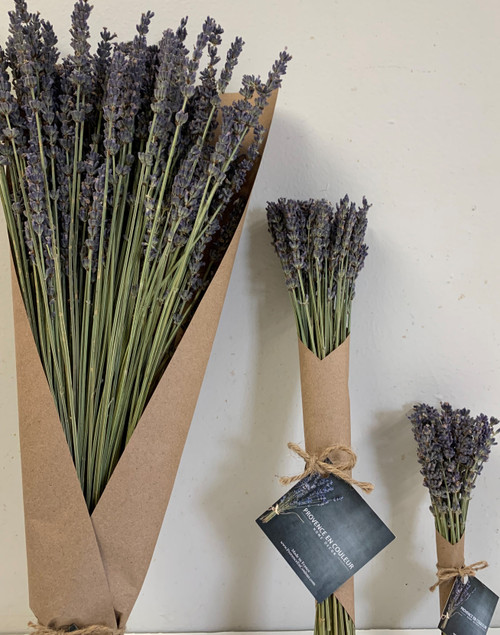 Lavender from France ( large)