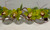  Large  Orchids Bubble vase 