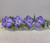  Large  Orchids Bubble vase 