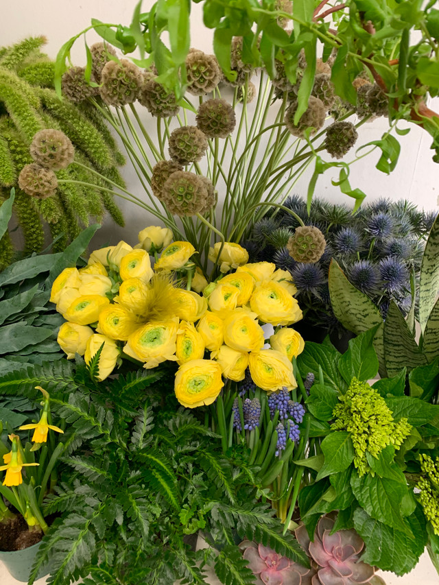 Ottawa Florist Mill Street Florist Send Flowers in Ottawa