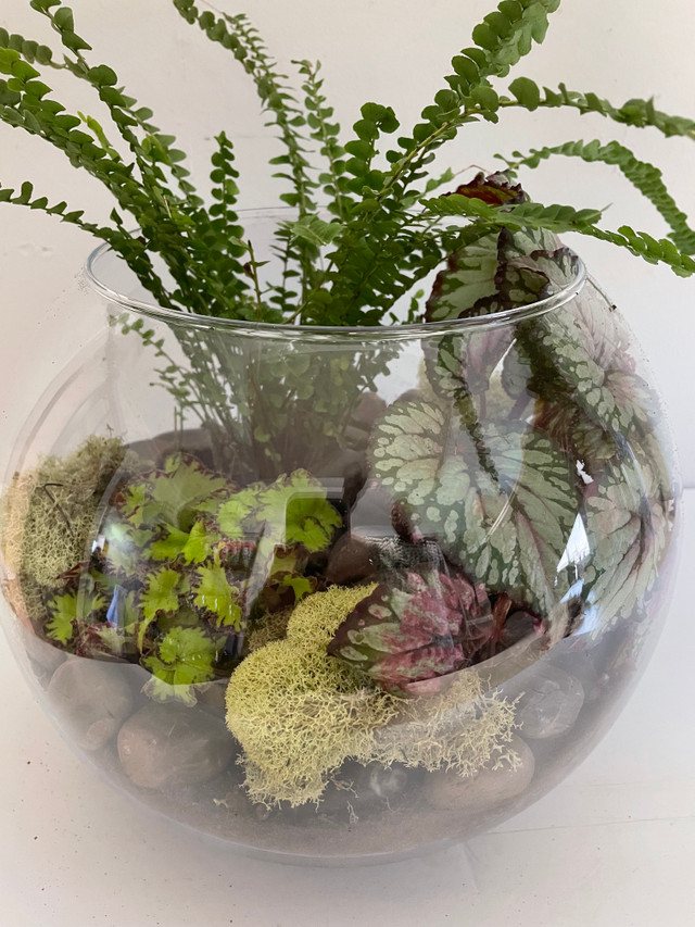 Ottawa Florist Mill Street Florist Send Flowers in Ottawa