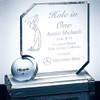 Hole in One Award
Golf Trophy