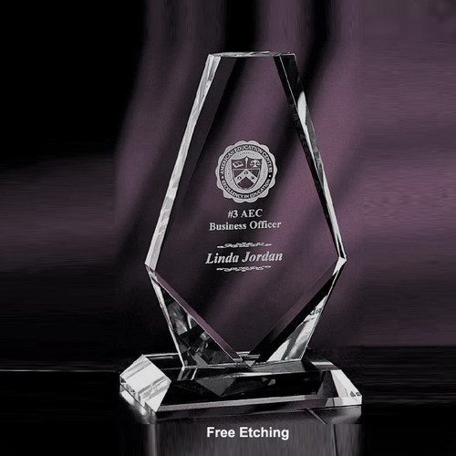 Manhattan Crystal  Award  
Army Regulation Awards!