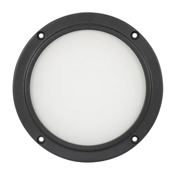 ADJ ELP5L100;100° frost filter accs LP5IP