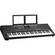 Alesis Harmony 61 Pro 61-Key Touch-Sensitive Portable Keyboard