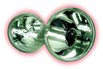 ADJ ZB-4435 12 Volt 30W Lamp - GoKnight