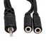 Hosa YMM-232 6" 3.5mm TRS to Dual 3.5mm TRSF Headphone Splitter Cable
