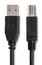 Hosa USB-205AB 5' Type A to Type B High Speed USB 2.0 Cable