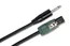 Hosa SKT-410Q 10' Pro Series speakON to 1/4" TS Speaker Cable