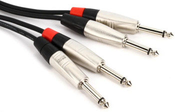 Hosa HPP-010X2 Pro Stereo Interconnect Cable - Dual REAN 1/4-inch TS to Same - 10 foot
