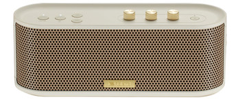 Roland BTM-1 Bluetooth Speaker with Guitar Input, Auxiliary Input and Headphone Output for Music Streaming and Practice (BTM-1)