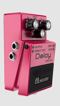 BOSS DM-2W Waza Craft Analog Delay Compact Pedal with All-Analog BBD Circuit, Standard and Custom Modes (DM-2W)