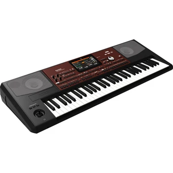 Korg Pa700 61-Key Professional Arranger Keyboard with Speakers (PA700)
