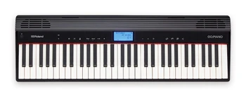 Roland GO:PIANO 61-Key Portable Digital Piano with Bluetooth Audio, Battery Operation, and Onboard Speakers (GO-61P)