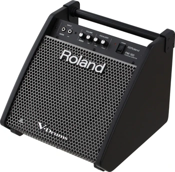 Roland PM-100 V-Drums Personal Monitor Speaker with 80W Power, 10-Inch Speaker, Tweeter, and Built-In Mixer (PM-100)