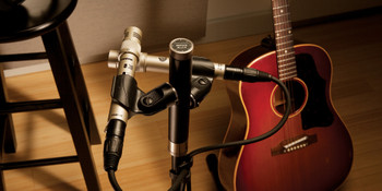 Shure KSM141/SL Dual-Pattern (Cardioid/Omnidirectional) Studio Condenser Microphone (Champagne), Foam Windscreen and Carrying Case