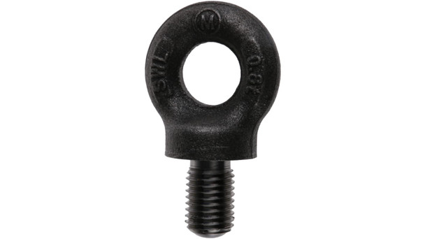 EAW ACC EYE BOLT 0.25-20 X 1in [ACC-EB2500]