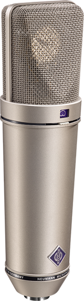 Neumann U 89i Large-diaphragm Condenser Microphone - Nickel
