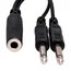 Hosa YPP-106 6" 1/4" TSF to Dual 1/4" TS Audio Y-Cable